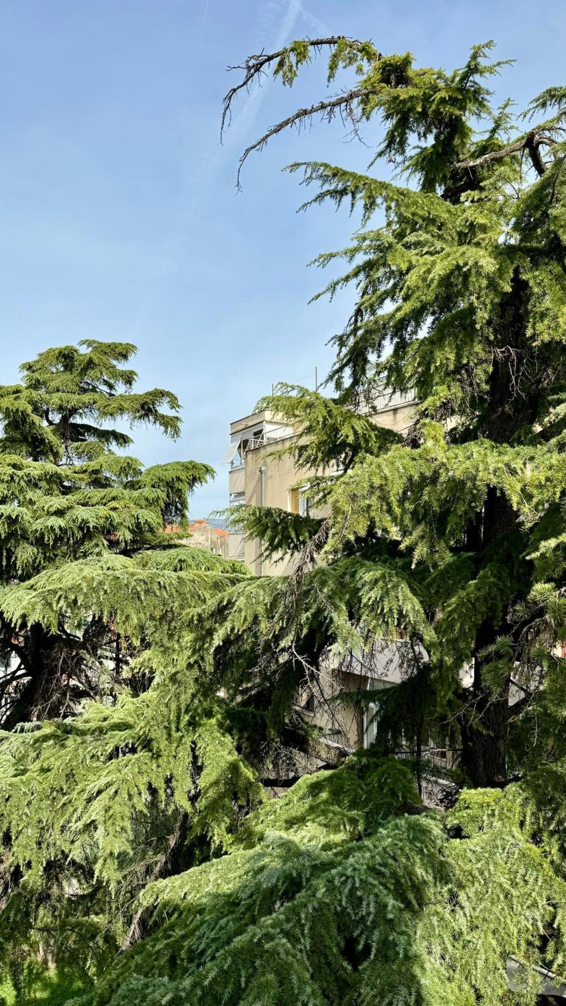Jardin Rooms Split Extérieur photo